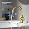 Kibi Circular Single Handle High-Arc Bathroom Sink Faucet C-KBF1021BG-KPW100BG - alternate 9